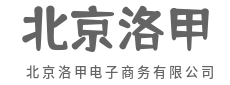 挖掘数据富矿,洞察市场先机-北京洛甲电子商务有限公司